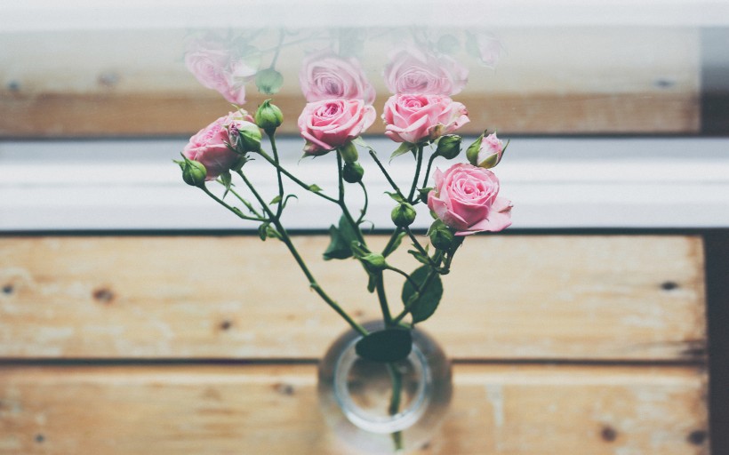 「生肖」未来30天，姻缘灿烂，迎桃花好彩头，爱情甜蜜美满的四大生肖