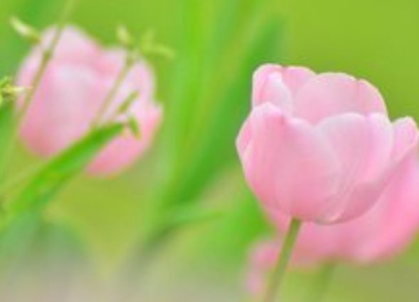 运势|7月下旬好运连连，4属相运势与日俱增，财运爆棚，生活一帆风顺