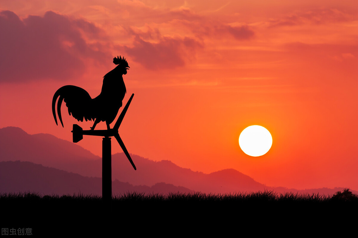 晓君侃史|国外女子申请太阳专利，想要向全世界收取太阳使用费，后怎样？