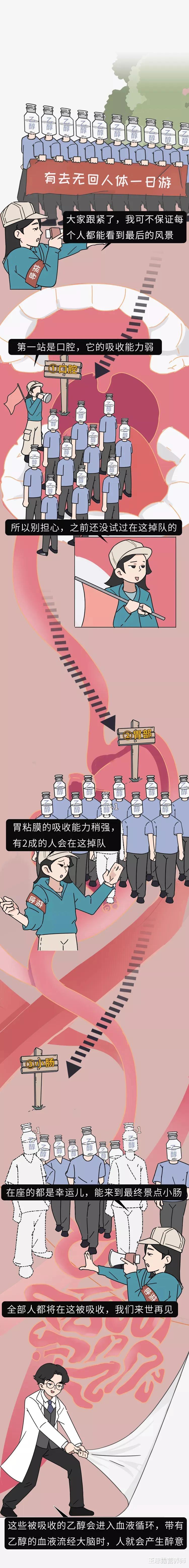 |酒喝多了难受怎么办?教你几招,简单实用,让你快速醒酒,收藏了