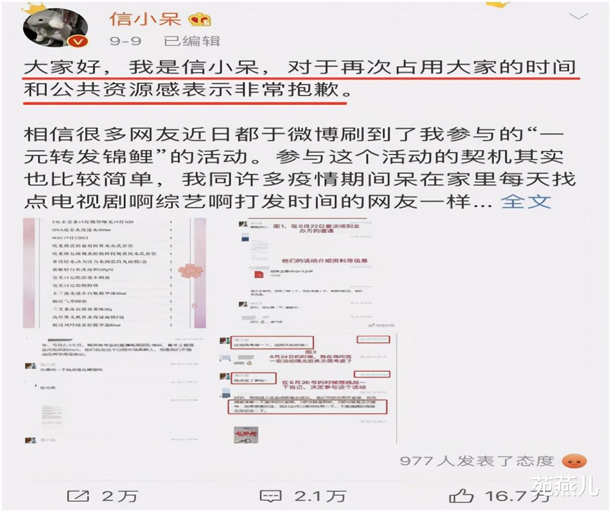 苑燕儿|1亿锦鲤1元转手无人接盘:人生最大的谎言就是相信天上能掉馅饼