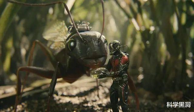 |如果人类的体型只有蚂蚁那么大，但智慧保留，会有什么样的后果？