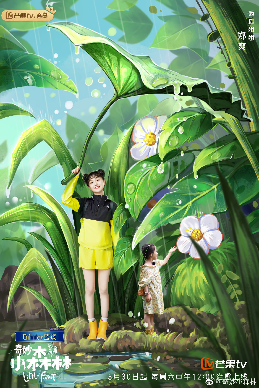 郑爽▲新晋综艺女王?郑爽一周三档真人秀,失恋后疯狂录节目