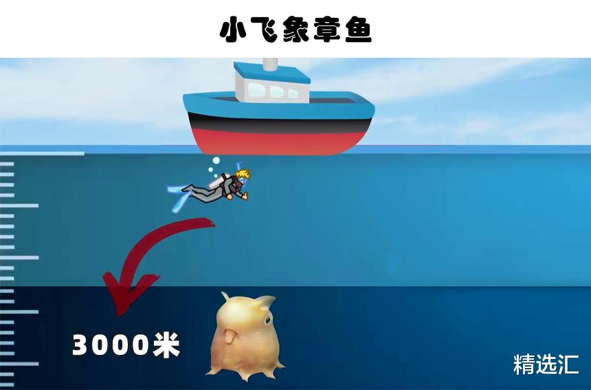 犰狳▲你可能永远无法看到人类囚禁的6种有趣的动物