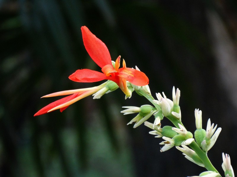 「生肖」下周起，真爱来相伴，情投意合姻缘成，牵手终生的四大生肖