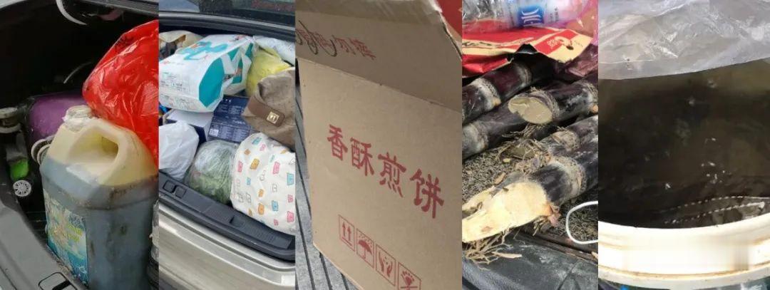 江苏新闻|“妈妈半年养的，都给我带走了！”