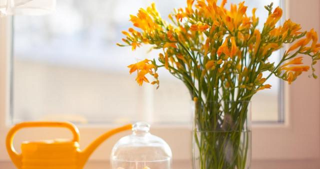 生肖|8月底，4生肖熬过霉运，好事连连，事业水涨船高，财运蒸蒸日上