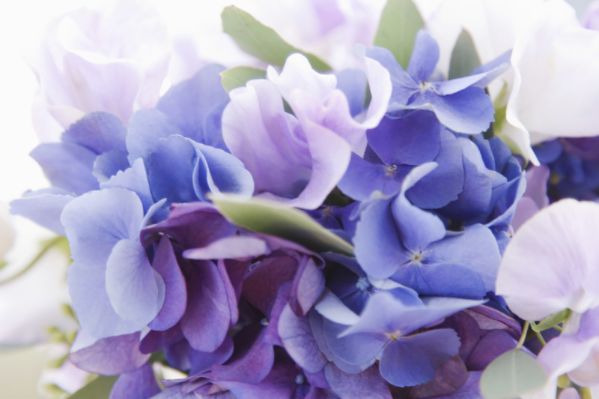 生肖|2020年下半年，喜事连连的4大生肖，事业平步青云，家庭安康和睦！