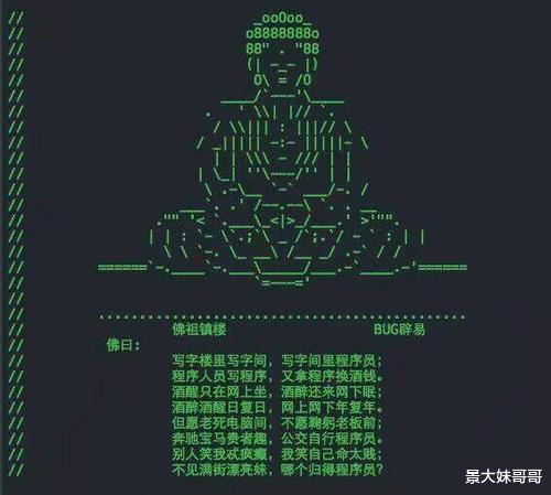 oled屏|程序员:代码全部替换成中文,你能接受吗?