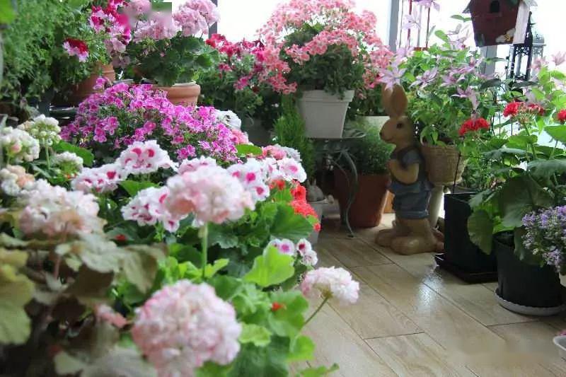 @7㎡迷你“阳台造园”：小阳台这样布置，也能美成的花园