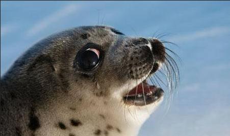 科学家|人类的眼泪是什么样子？科学家将它放大3000倍后，你还敢哭吗？