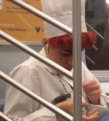 InsDaily|纽约地铁禁止带狗，但允许沙雕进入，于是奇怪的事情发生了……