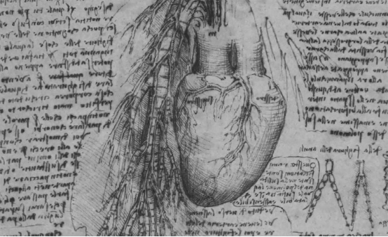 达·芬奇|达芬奇曾画出人的心脏，还画出细微结构，人们花了500多年才找到