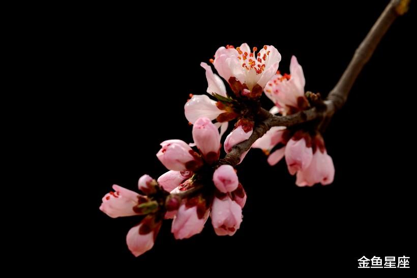 「生肖」6月28号容易有意外财富,财运运势顺风顺水,3生肖福旺心情棒