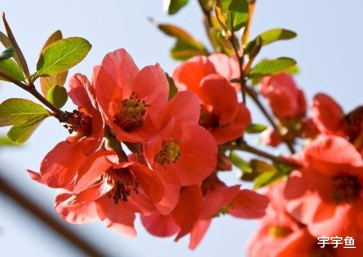 李天佑|进入9月中旬，吉人天佑，4属相八方来财，生活越来越幸福