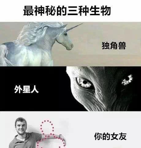 |世界上最神秘的三种生物