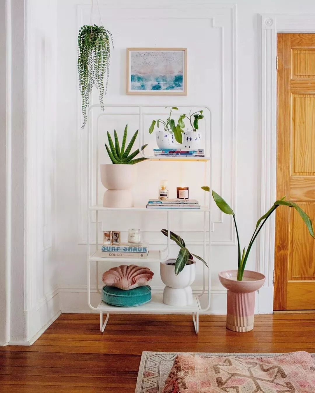 绿植怎么种更美？多种几盆，摆上架子，美出天际！