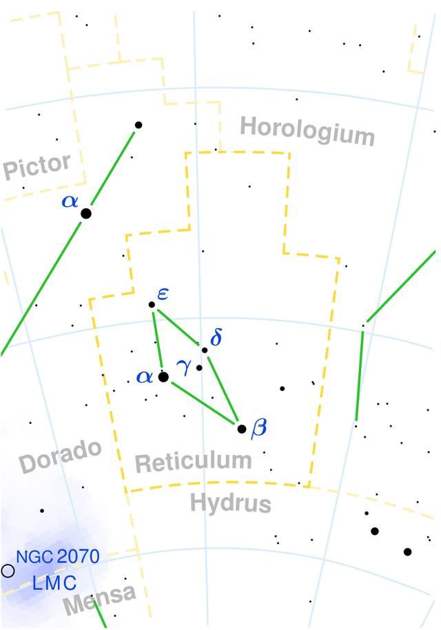 科学家|传说中的外星小灰人真相揭秘