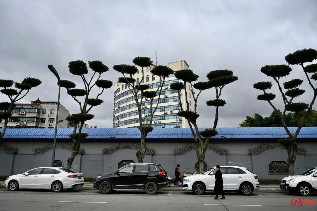 ＂原＂红星新闻|成都路边长出“盆景”！