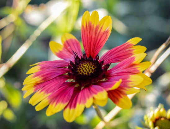 「」5月份开始，4属相好运不断，财运亨通，收入可观，福旺财更旺