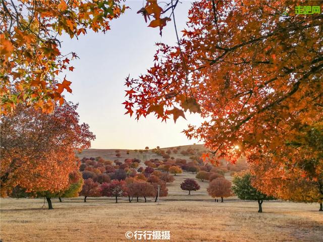 丹东|十条自驾路线“燃爆”金秋，每条都让人疯狂心动，实在是太惊艳！