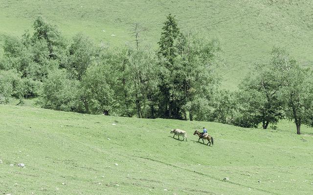 天蝎座|9月上旬，矢志不渝，爱恨交织，跌跌撞撞，转身复合，余生永不悔
