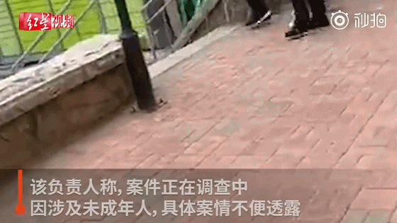 隐秘的角落|章子怡评论《隐秘的角落》获115万赞！这个剧中最可怕的人