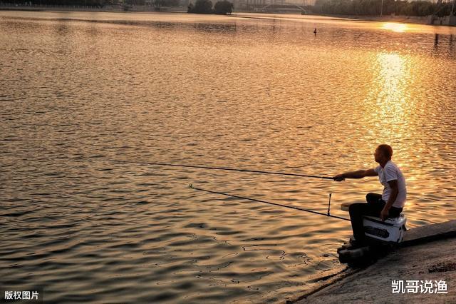 ▲根据水面大小选长短竿?不需要,有时打破常规反而是提升渔获关键