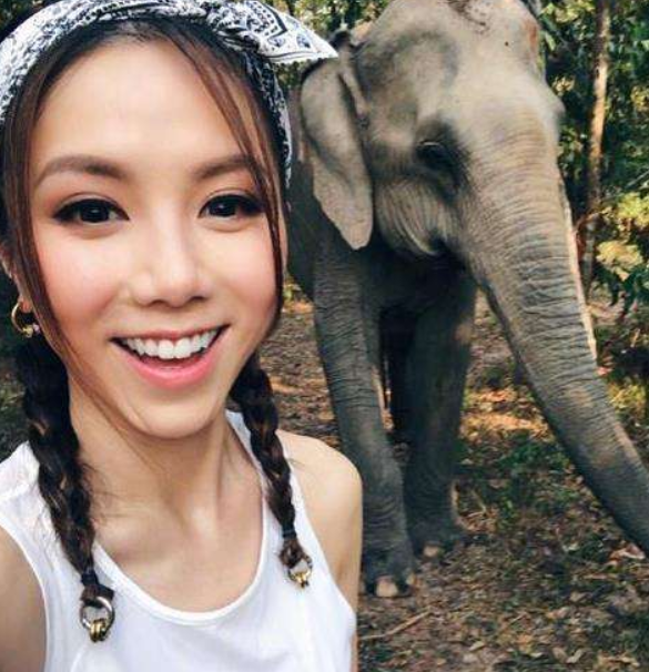 「演唱会」以为自己很红，去国外开演唱会，结果无人看只能每人送40张门票