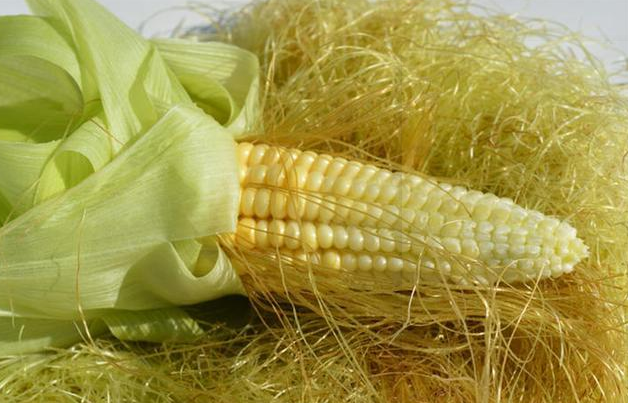 新陈代谢|原来“易瘦体质”不是天生的，坚持四件事，或许不减肥也能掉体重