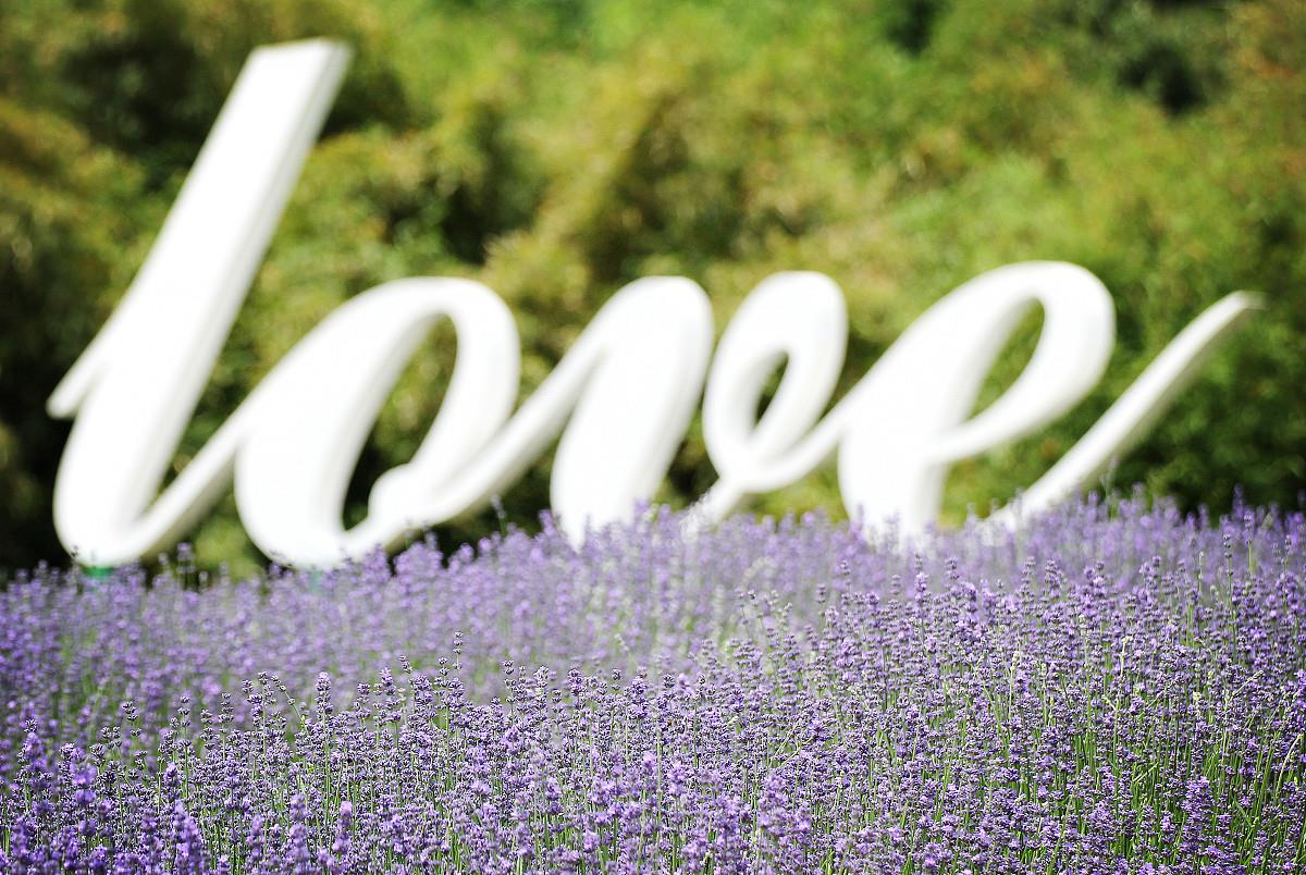 富贵吉祥|10月末,桃花爆满山,旧爱来复合,缘分天注定,破镜重圆的3星座