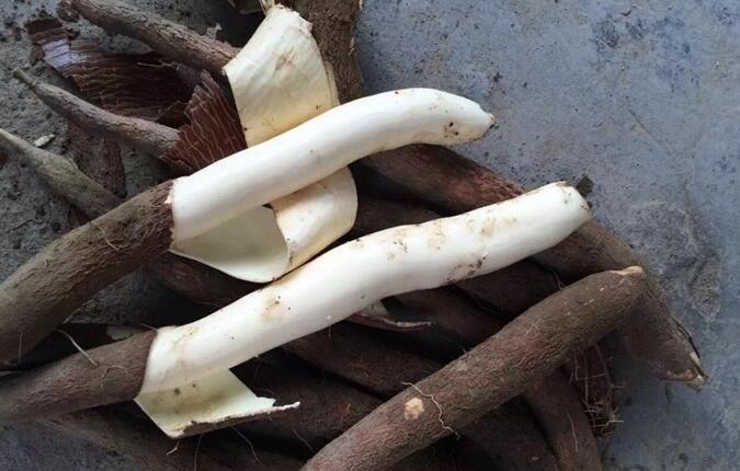 珍珠奶茶|这东西，美味无比却身含毒素，国人还在大量食用，建议收藏！