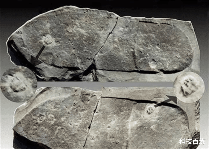 科学家|来自20亿年前的“现代产物”?科学家:或许人类将没有未来!