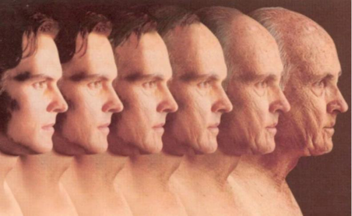 水母|3种不老不死的生物，最后一种已经永生，人类只有羡慕的份