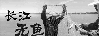 #放生#持证钓鱼即将实施，怎么钓、多少钱才合理？欧美这样规定