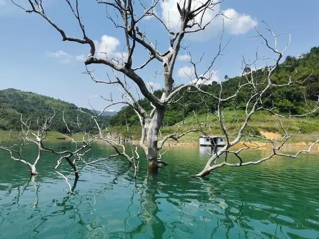 饵料|秋季钓鱼“忙”，如何小中取大，钓的比其他钓友多呢！