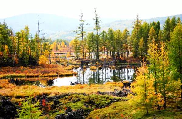 阿尔山▲中国北方\藏着\一个“瑞士”，去一次相当于环游一次欧洲！