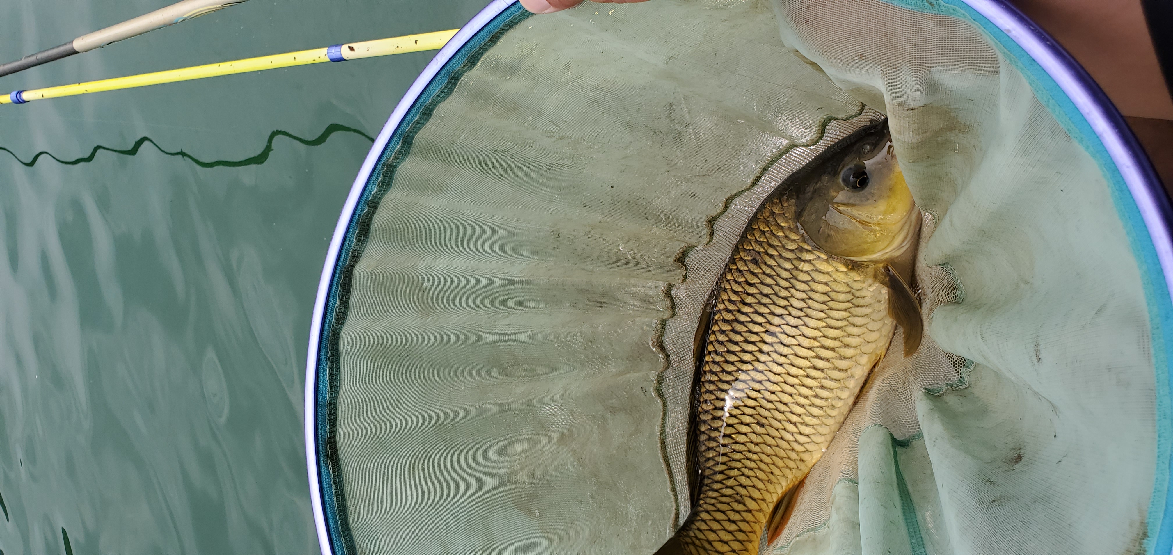 丹江口|2020年七月十号丹江口岸钓之行