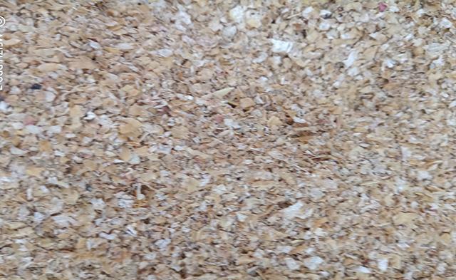 案件通报|想把旁边钓友打“闭口”，推荐试试这款自制饵