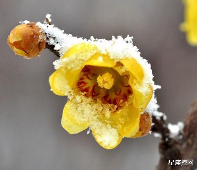 运势|哪些日子出生的人，职场中如鱼得水，能得人心，事业事半功倍