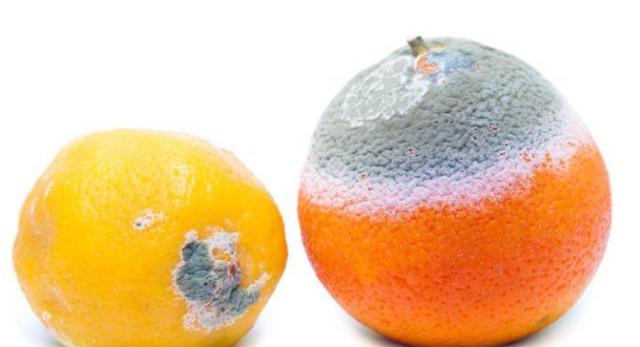 肝癌▲56岁夫妻，一周内先后查出肝癌，提醒：餐桌上的一种食物害人不浅