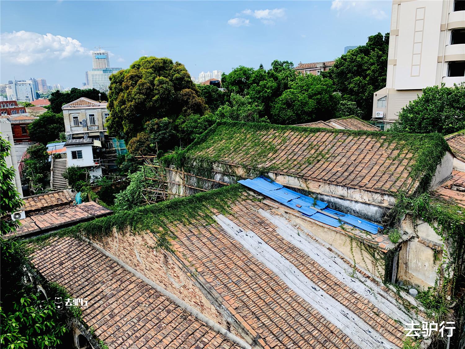 【林语堂】探访钟南山外祖父故居，家人连女婿都是名人，房产无价却一度荒废