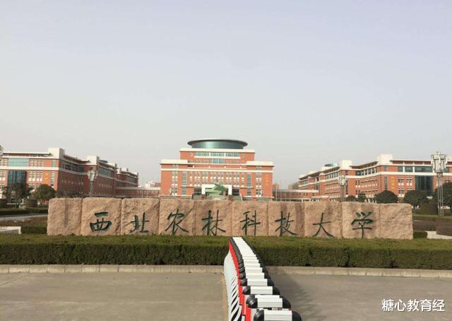 东北大学|录取分数不高的6所985大学,高三党可继续关注,争取“捡漏”