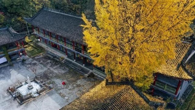 秦岭|秦岭私藏着两条绝美小众自驾路线，适合假期出游，去的人不多