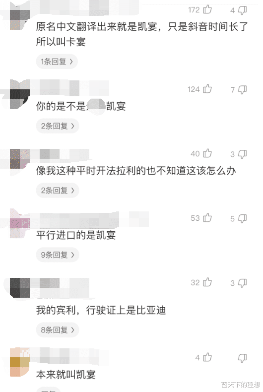 「思域」为什么我的卡宴在行驶本上是凯宴？求有相关知识的朋友来解答哈！