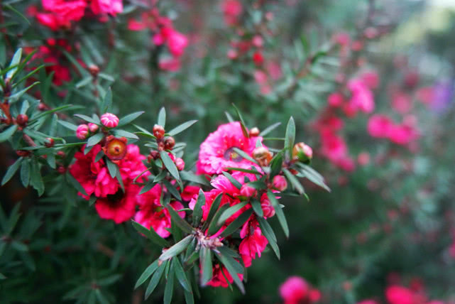 中国下一个“北京”，杭州和成都不被看好，哪一座城市最能胜出呢