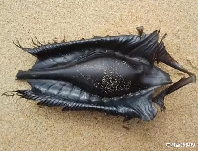 |估计你没见过的28张图,看完姿势大涨!