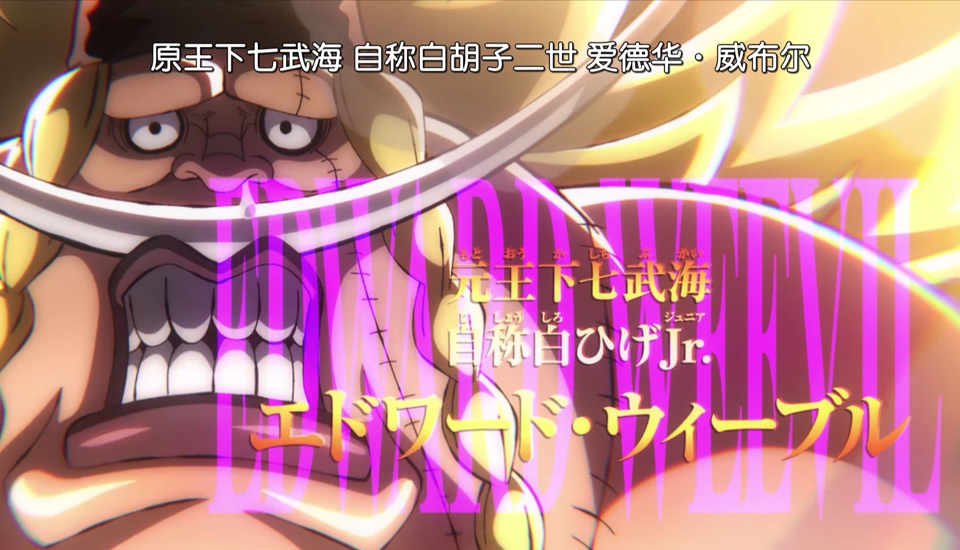 海贼王|海贼王:七武海制度被废,浅析4大七武海中,谁会最先被捕