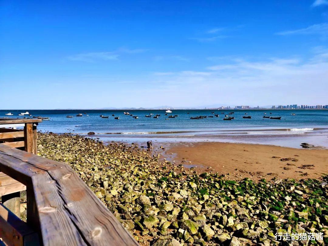 「烟台」北方的海不止青岛,旁边这个城市人少景美,还有火遍抖音的网红岛