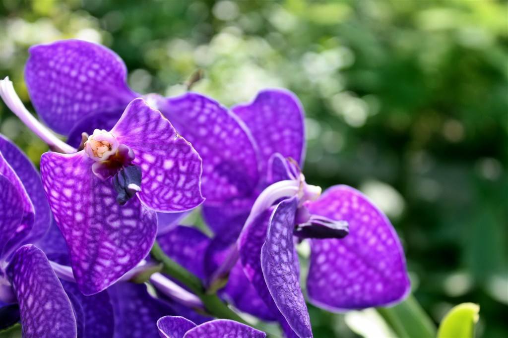 [生肖]家有此3大生肖，贵人助力，富足旺财，6月下旬，职场风生水起